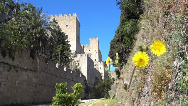 Rhodes, Greece - 21st of April 2018: 4K Touring old town of Rhodes - Yellow flowers and fortress wall