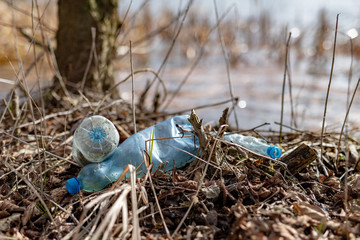 Littered by the edge of the lake by plastic bottles. Polluted environment in the forest area.