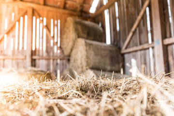 Stored bales of straw/hay inside of a farm, countryside