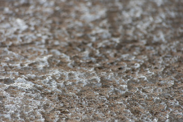 Fototapeta na wymiar Texture of ice covered with sand
