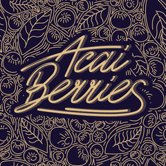 Concept berries acai vector line. hand drawing, funny doodles on a dark background with lettering.