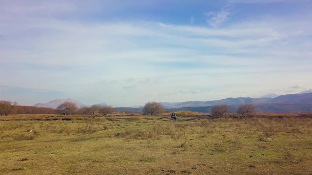 drone flying over plain reeds, following horse riders, sunny weather, scenic view, in Kayseri, Turkey
