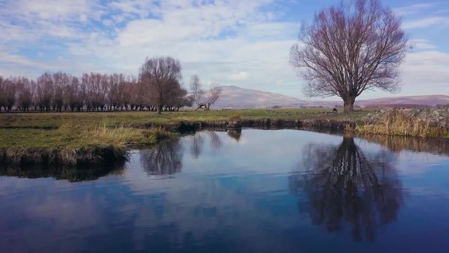 hd aerial drone dolly sideways, pond reflecting sky and tree, clouds in the background, in Kayseri, Turkey