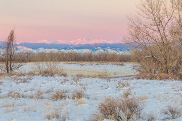 Snowy field and trees with Mount Evans in the distance, taken from the Rocky Mountain Arsenal Wildlife Refuge.