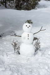 Snowman