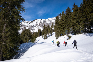Fototapeta na wymiar Adults snowshoeing thruogh forest in Kaiserau with mountain Kreuzkogel, Styria