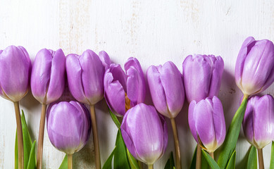Lilac tulips on a white wooden table.