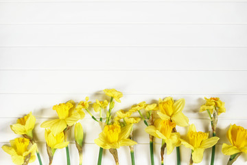 Easter greeting card, invitation. Closeup of yellow daffodils, narcissus flowers lying on white wooden table background. Spring concept. Floral frame, web banner with copyspace. Flat lay, top view.