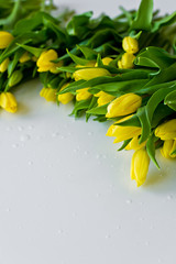 Background of yellow tulips on white table. Side view, space for text