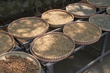 Coffee beans from the civet cat-  The most expensive coffee in the world is made from excrement. The Indonesian kopi luwak has been the most expensive coffee in the world for a long time.