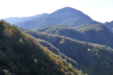 Fototapeta premium 秋の蛭ヶ岳