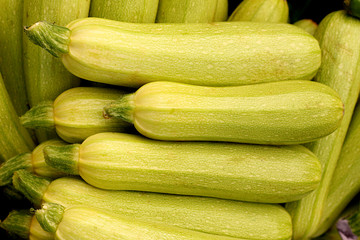 Green and fresh squash