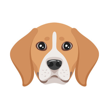 Dog Pet Head Icon