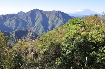 袖平山からの展望