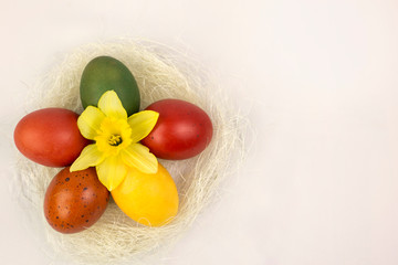 Easter colored egg - obrazy, fototapety, plakaty