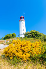Fototapeta na wymiar Dornbusch lighthouse in spring landscape with flowers on northern coast of Hiddensee island, Baltic Sea, Germany