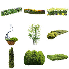 Garden Plants Cutout