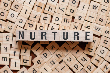 the word of NURTURE on building blocks concept