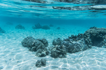 Tahiti Snorkel