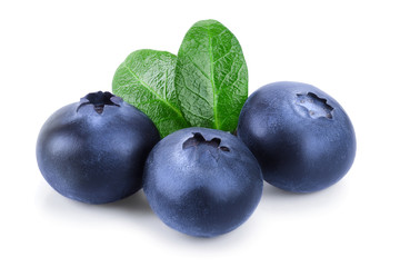fresh blueberry with leaves isolated on white background closeup