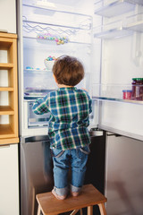 Little toddler boy looking for candy in refrigerator