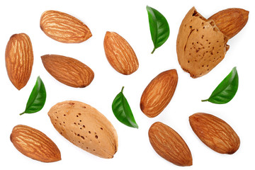 almonds decorated with leaves isolated on white background without a shadow close up. Top view
