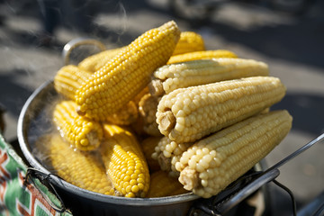 Steaming boiled yellow maize in steel pan outdoors