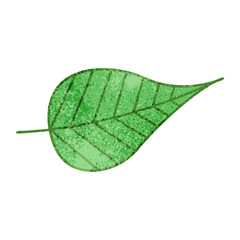 Naklejka na ściany i meble retro grunge texture cartoon green leaf