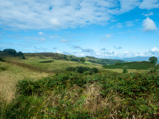 Fototapeta na wymiar beautiful countryside lowlands of scotland
