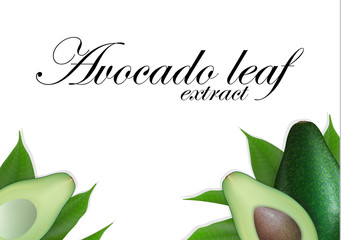 Sliced avocado background with leaves. Avocados seed with leaf.  Avocado halves. Top view with space for text.