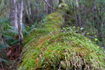Keplar Track from Rainbow Reach entrance