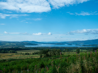 Fototapeta na wymiar blue lake (loch lochmond) on a sunny day with flowers and meadow