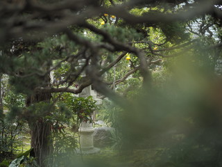 Obraz na płótnie Canvas 日本庭園