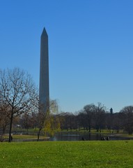 Fototapeta premium monument in washington dc