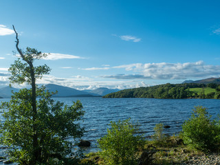 lake (loch lomond) on a beautiful sunny day