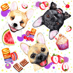 Cute pattern with dogs on white background. Watercolor illustration. Beautiful seamless pattern with portraits of French bulldogs on white background. Fashionable printing. Sweet dessert background.