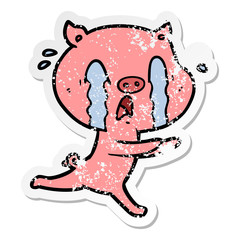 distressed sticker of a crying pig cartoon