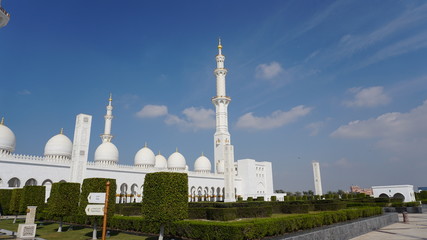 Obraz premium mosque in dhabi