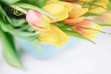 Obraz na płótnie Canvas Spring flowers yellow tulips on a white background