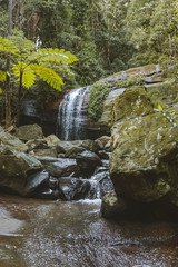 waterfall in rainforest