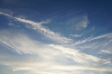 Lagoa Rodrigo de Freitas