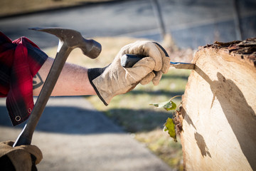 Man's hands in work gloves using hammer and chisel to remove bark from tree stump log.