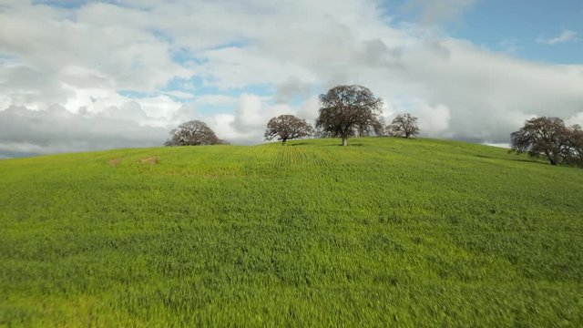 Aerial Shot of road leading to green rolling hills with blue sky and white clouds and trees on country road