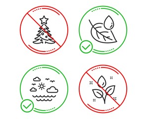 Fototapeta premium Do or Stop. Leaf dew, Travel sea and Christmas tree icons simple set. Plants watering sign. Water drop, Summer holidays, Spruce. Nature set. Line leaf dew do icon. Prohibited ban stop. Good or bad