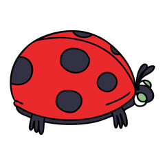 Fototapeta na wymiar quirky hand drawn cartoon ladybird