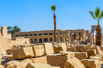 Fototapeta premium Palms on ruins of the ancient Karnak temple. Luxor, Egypt