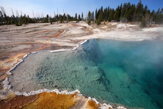 Blackpool, West Thumb Geyser Basin, Yellowstone National Park, Wyoming, USA, North America