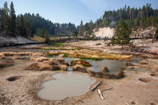 Hot springs in the Mud Vulcano Area, Hayden Valley, Yellowstone National Park, Wyoming, USA, North America