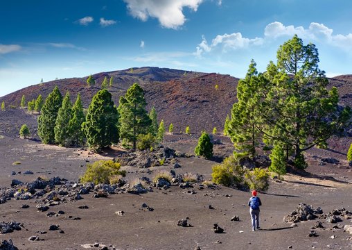 Woman on trail, Montana Negra Volcano or Garachico, lava lanscape near El Tanque, Tenerife, Canary Islands, Spain, Europe