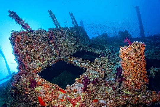Overgrown shipwreck of the Numidia, sunken 20.07.1901, Red Sea, Big Brother Island, Brother Islands, El Alkhawein, Egypt, Africa